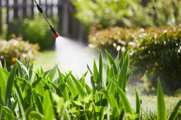 24/7 Emergency Mosquito Control experts in Berlin, MD